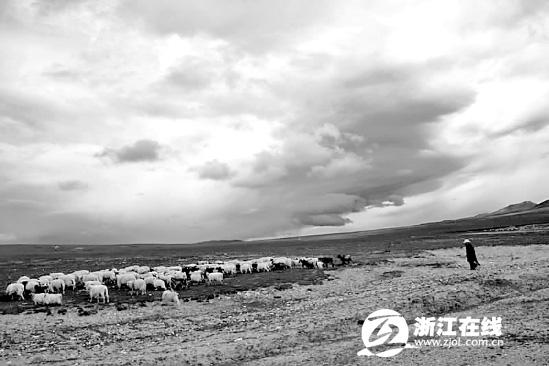 “盛開的白天使”曾經(jīng)蹲點(diǎn)一個(gè)星期，就為拍這些云