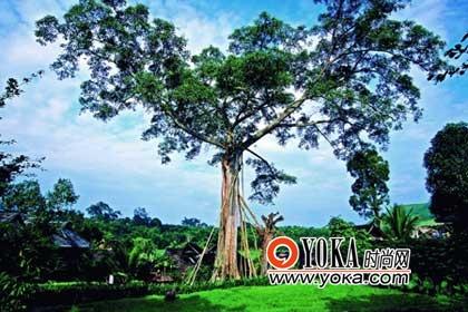 除了迷人的熱帶風(fēng)光，南方邊境線上的“宗教風(fēng)景”也令人神往。