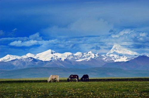 從遠(yuǎn)處眺望念青唐古拉山。（圖片來源于網(wǎng)絡(luò)）