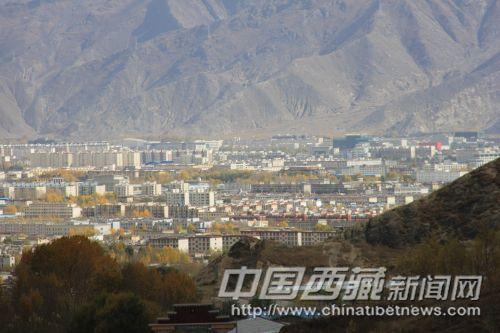 從娘熱溝高處的空地上眺望，遠(yuǎn)處成片金黃的樹(shù)林分布在城區(qū)的每個(gè)角落。