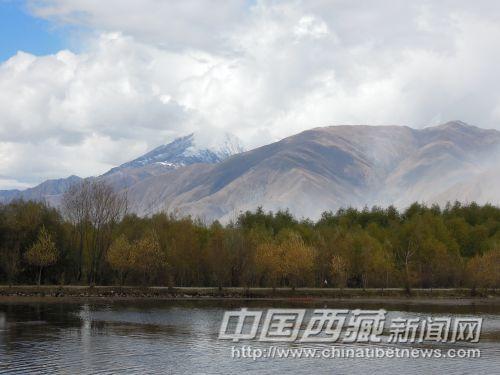 小樹林和群山襯托了池塘的美麗。