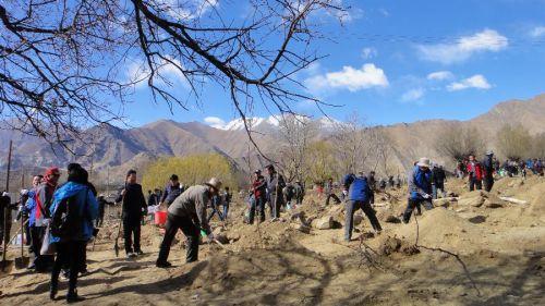 3月29日，援藏干部在拉薩市堆龍德慶縣羊達鄉(xiāng)通嘎村義務植樹。