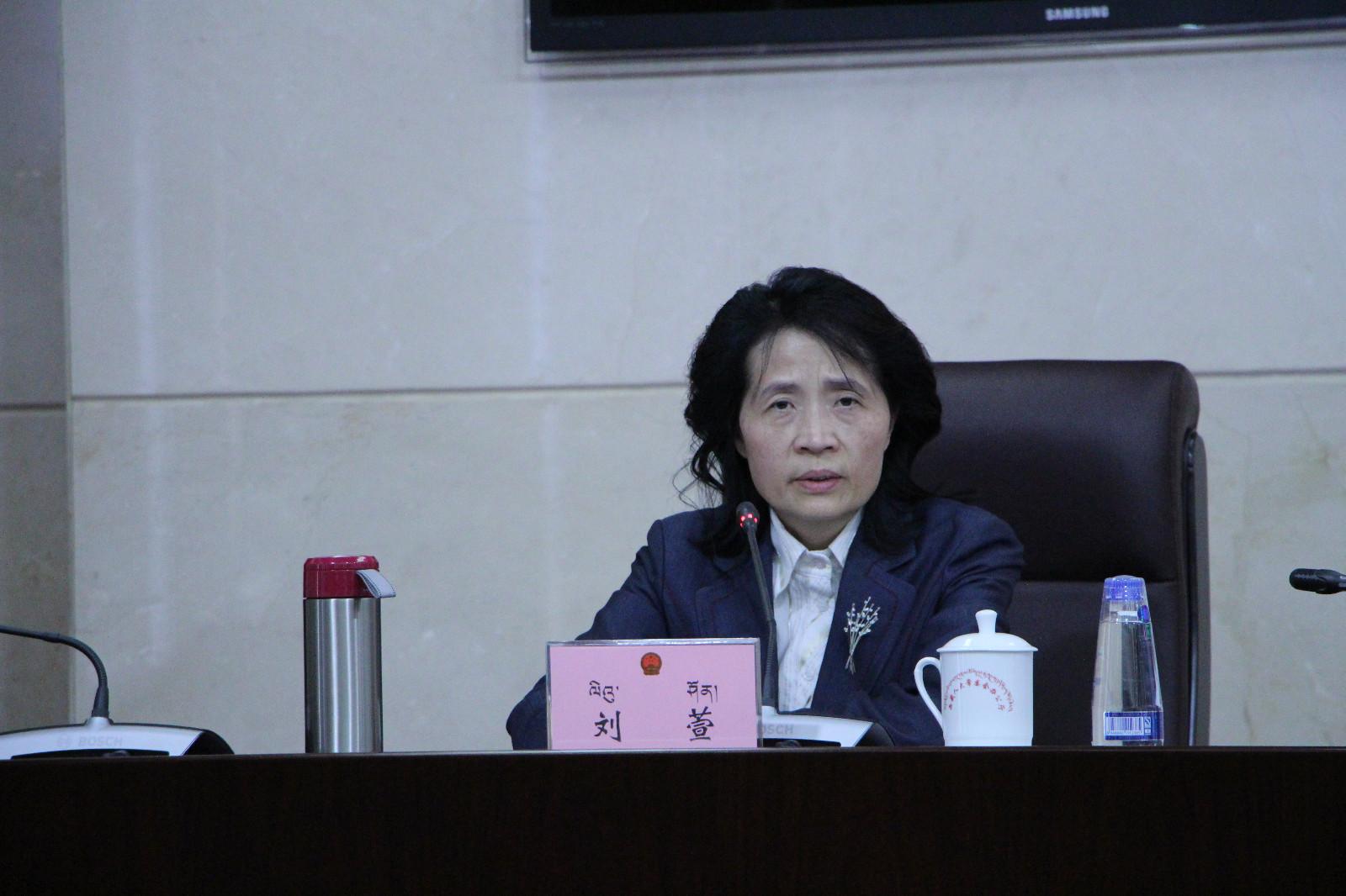 西藏自治區(qū)政府副秘書長、政府新聞發(fā)言人 劉萱.JPG