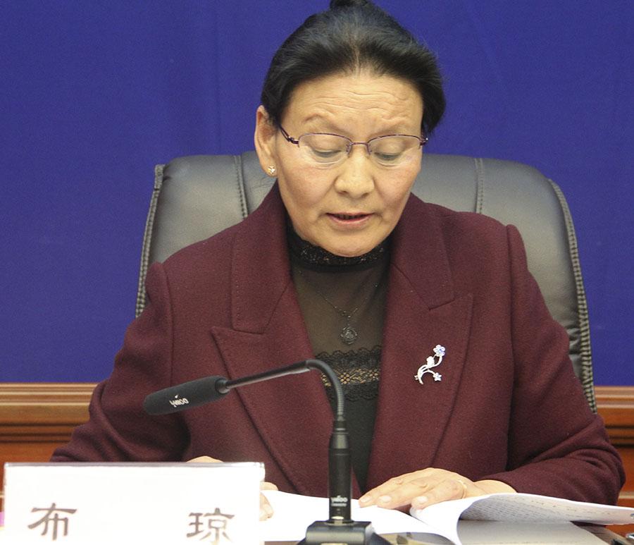 布瓊 區(qū)國土資源廳副廳長(zhǎng).jpg