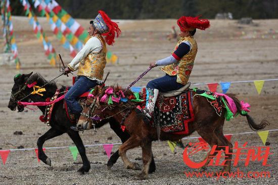 廣東省重點(diǎn)援藏項(xiàng)目——林芝魯朗國際旅游小鎮(zhèn)正式開業(yè)！_金羊網(wǎng)新聞
