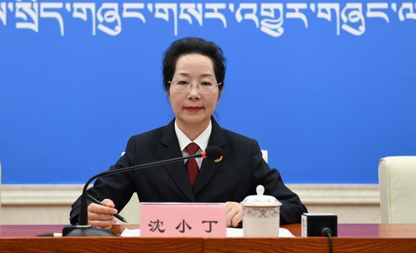 沈小丁 區(qū)檢院檢察委員會(huì)專職委員、二級(jí)高級(jí)檢察官、新聞發(fā)言人..JPG