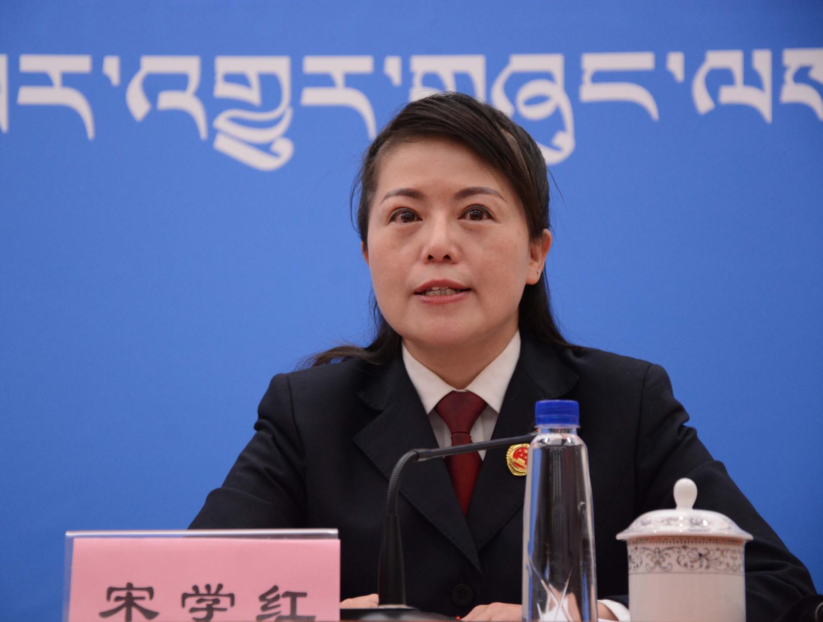 新聞發(fā)言人：自治區(qū)檢察院第九檢查部副主任、四級高級檢察官 宋學(xué)紅.JPG
