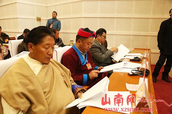 凝聚力量共謀發(fā)展——山南政協委員積極履職盡責