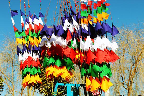圖為：縫制好的五彩經(jīng)幡樹(shù)。曲杰  攝.jpg