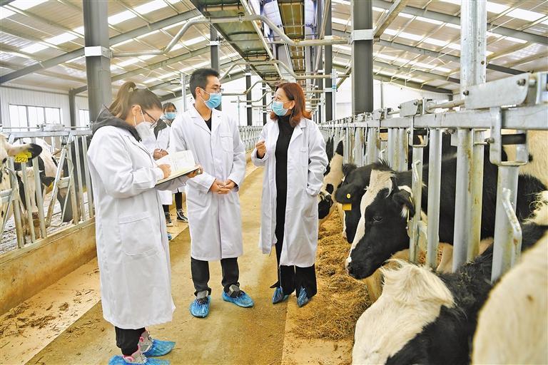 14a2d722-56f8-4dee-b82b-9b3af20915d2.jpg 14a2d722-56f8-4dee-b82b-9b3af20915d2.jpg