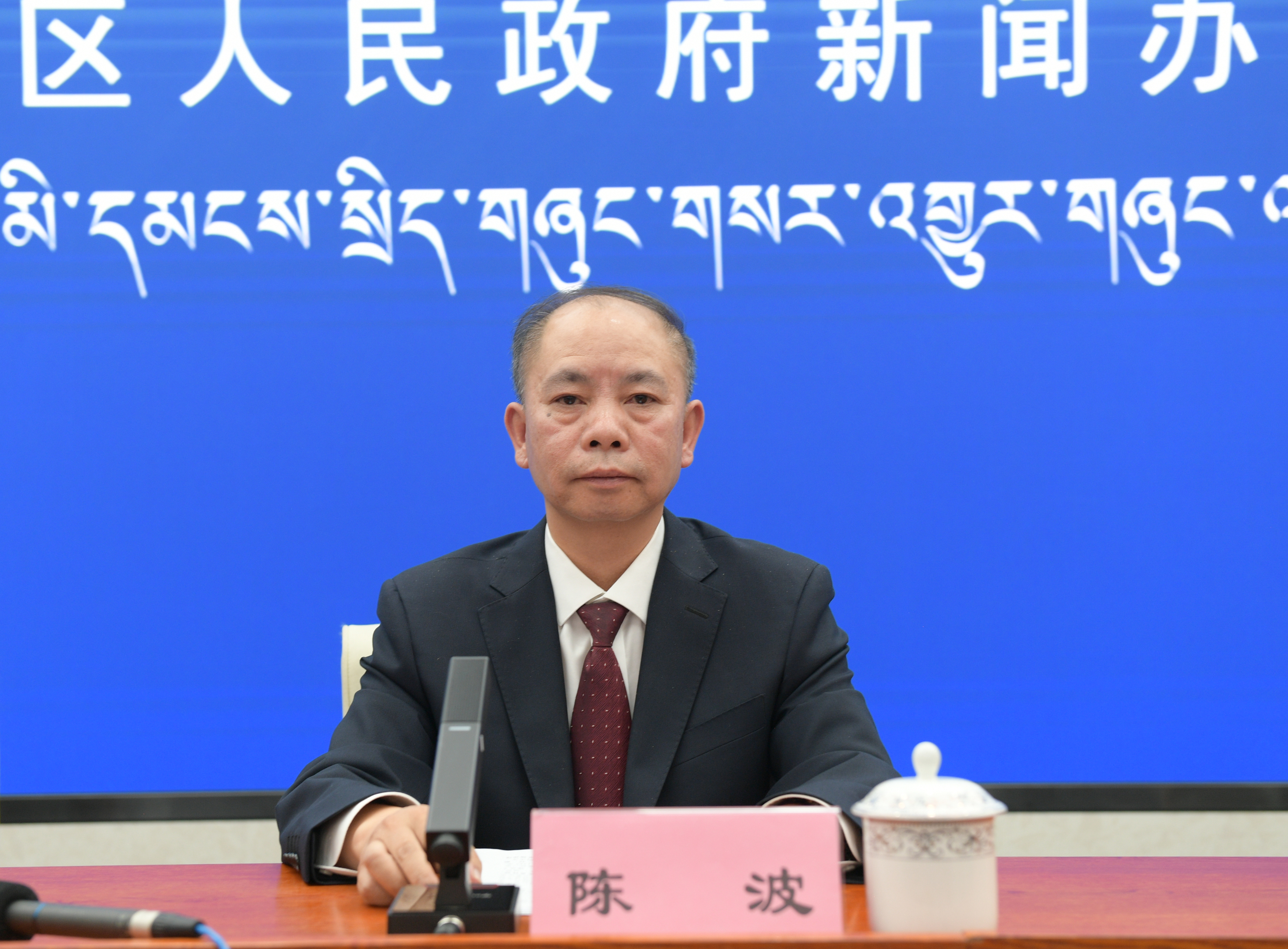 發(fā)言人：國(guó)網(wǎng)西藏電力有限公司董事、黨委副書記 陳波.jpg